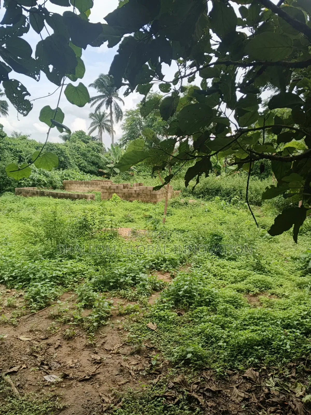 Land Plot for Sale in Akobo
