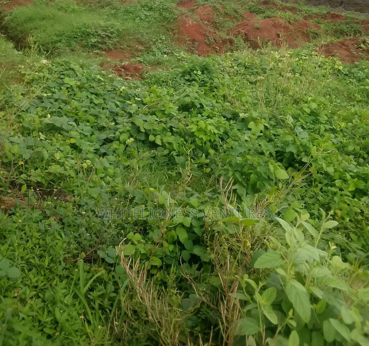 Plots of Land for Sale Facing Coastal Road Awoyaya in Sangotedo