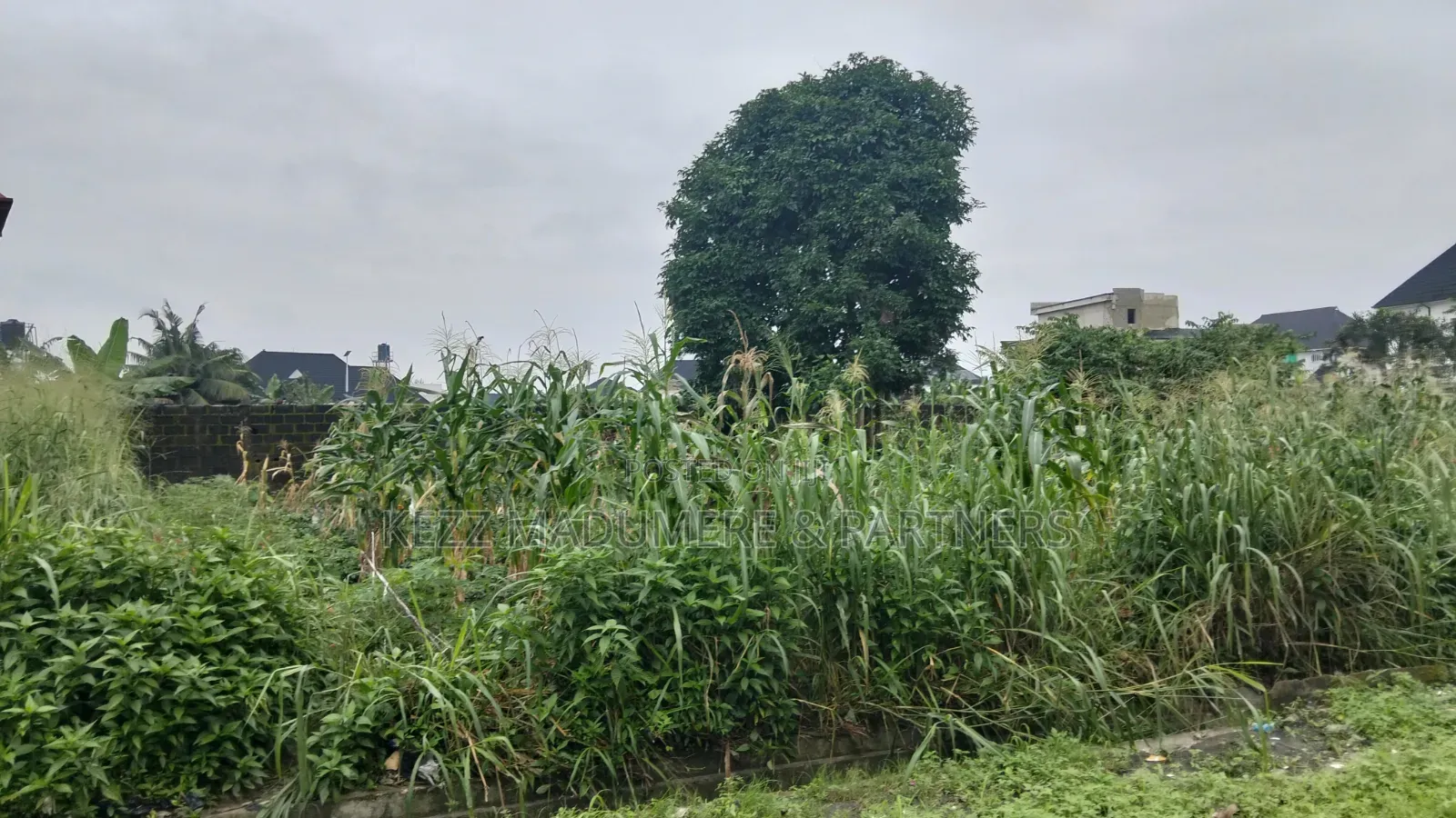 For Sale : 2 Plots at Timothy Land, Off Rumuola Road, Ph in Rumuola