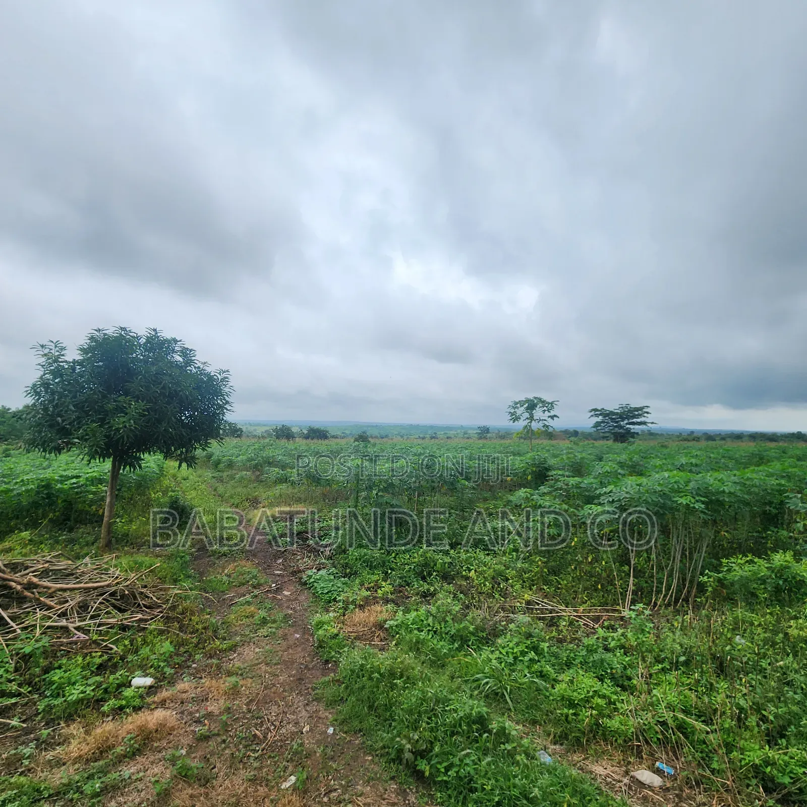 30 Acres at Elere, Ido Ibadan in Ido