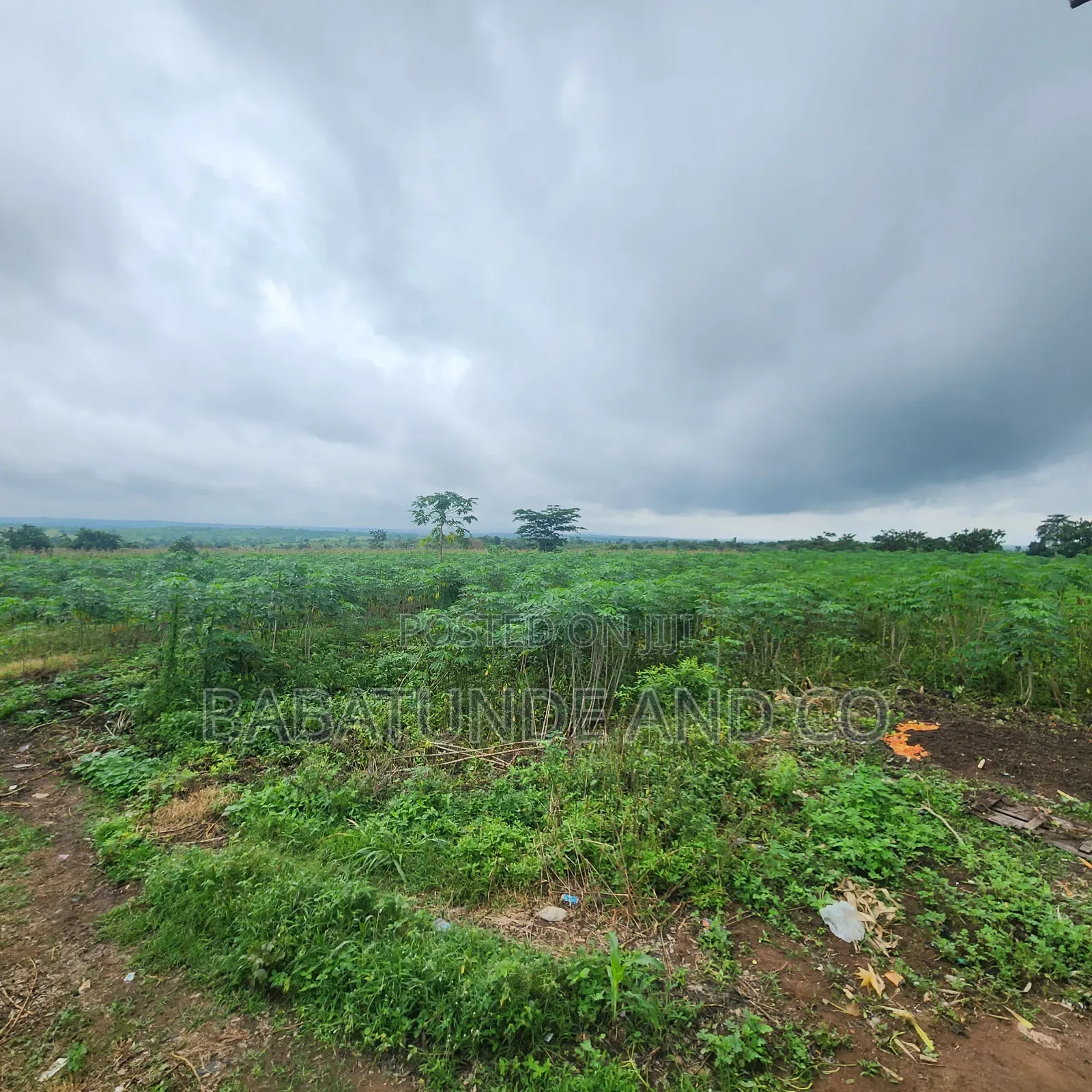 30 Acres at Elere, Ido Ibadan in Ido