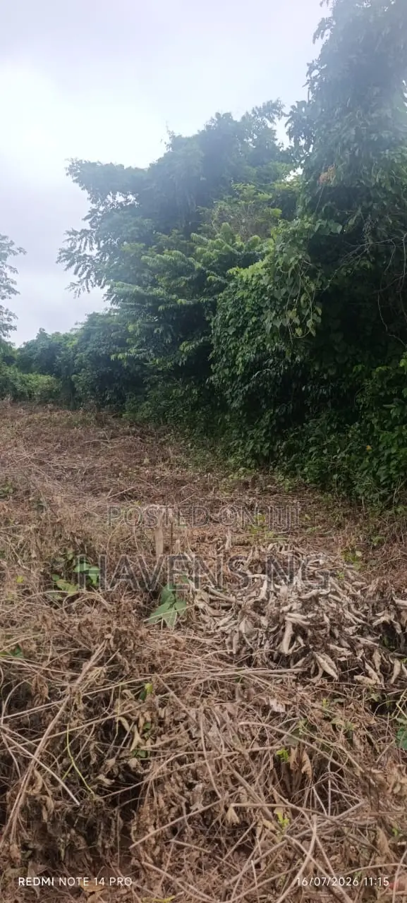 Land for Sale in Ologuneru