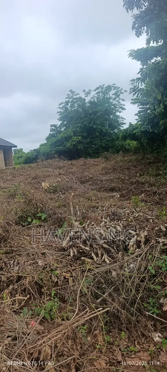 Land for Sale in Ologuneru