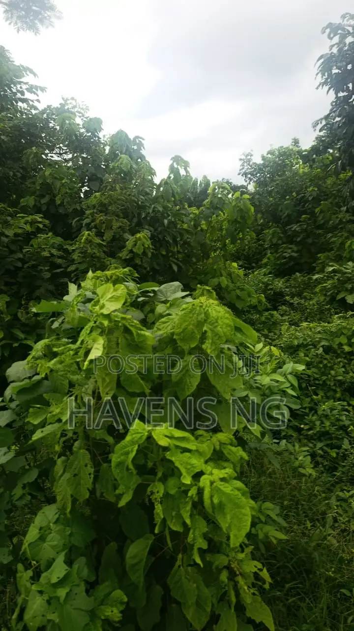 Prime 3 Plots of Land for Sale in Peace Estate, Ologuneru – ₦18M in Ologuneru