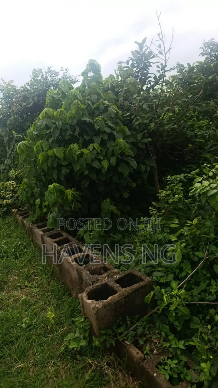 Prime 3 Plots of Land for Sale in Peace Estate, Ologuneru – ₦18M in Ologuneru
