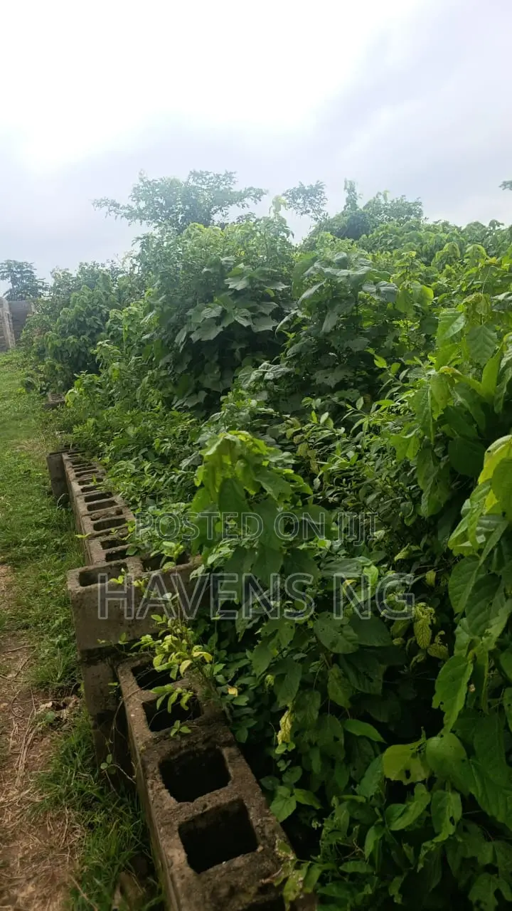 Prime 3 Plots of Land for Sale in Peace Estate, Ologuneru – ₦18M in Ologuneru