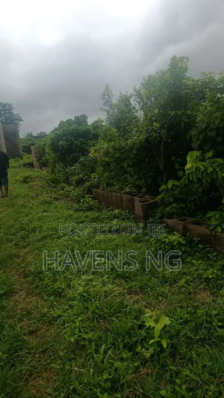 Prime 3 Plots of Land for Sale in Peace Estate, Ologuneru – ₦18M in Ologuneru