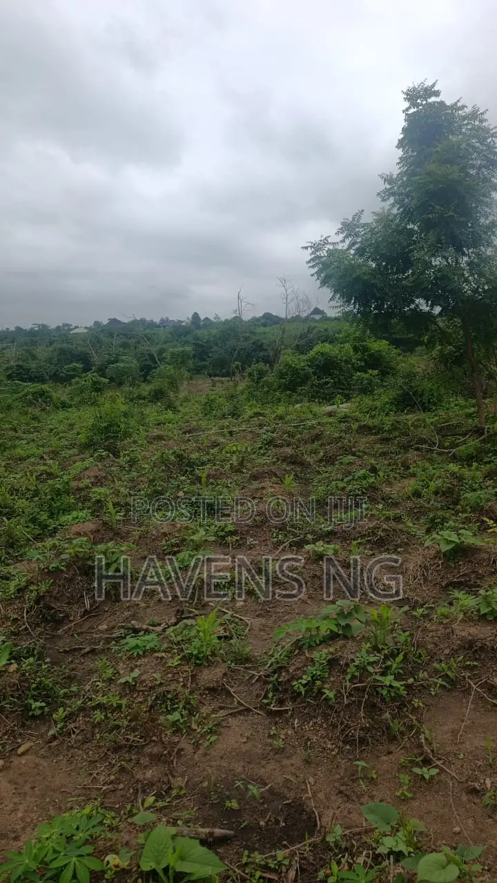 Affordable Estate Land for Sale – From ₦2 Million Per Plot in Ologuneru