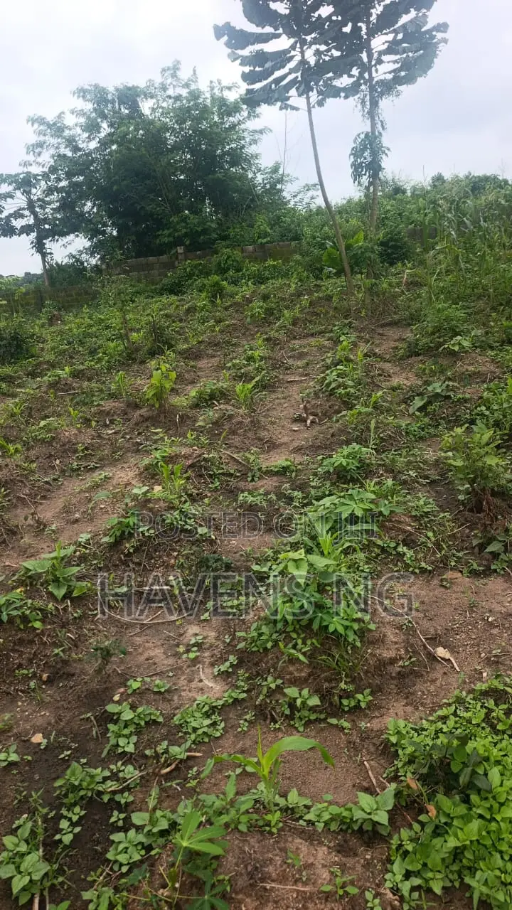 Affordable Estate Land for Sale – From ₦2 Million Per Plot in Ologuneru