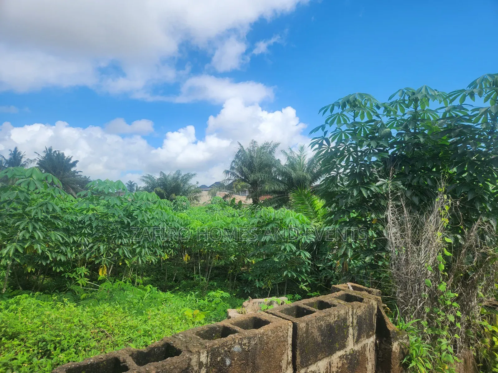 1300m2 Land for Sale at Oloruntedo Estate Near Akuru Off Akala Express in Akala Express
