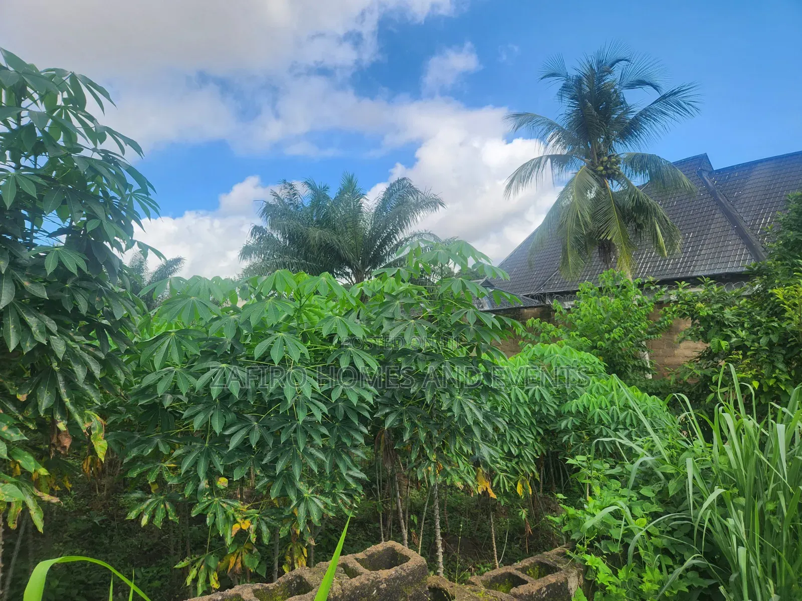1300m2 Land for Sale at Oloruntedo Estate Near Akuru Off Akala Express in Akala Express