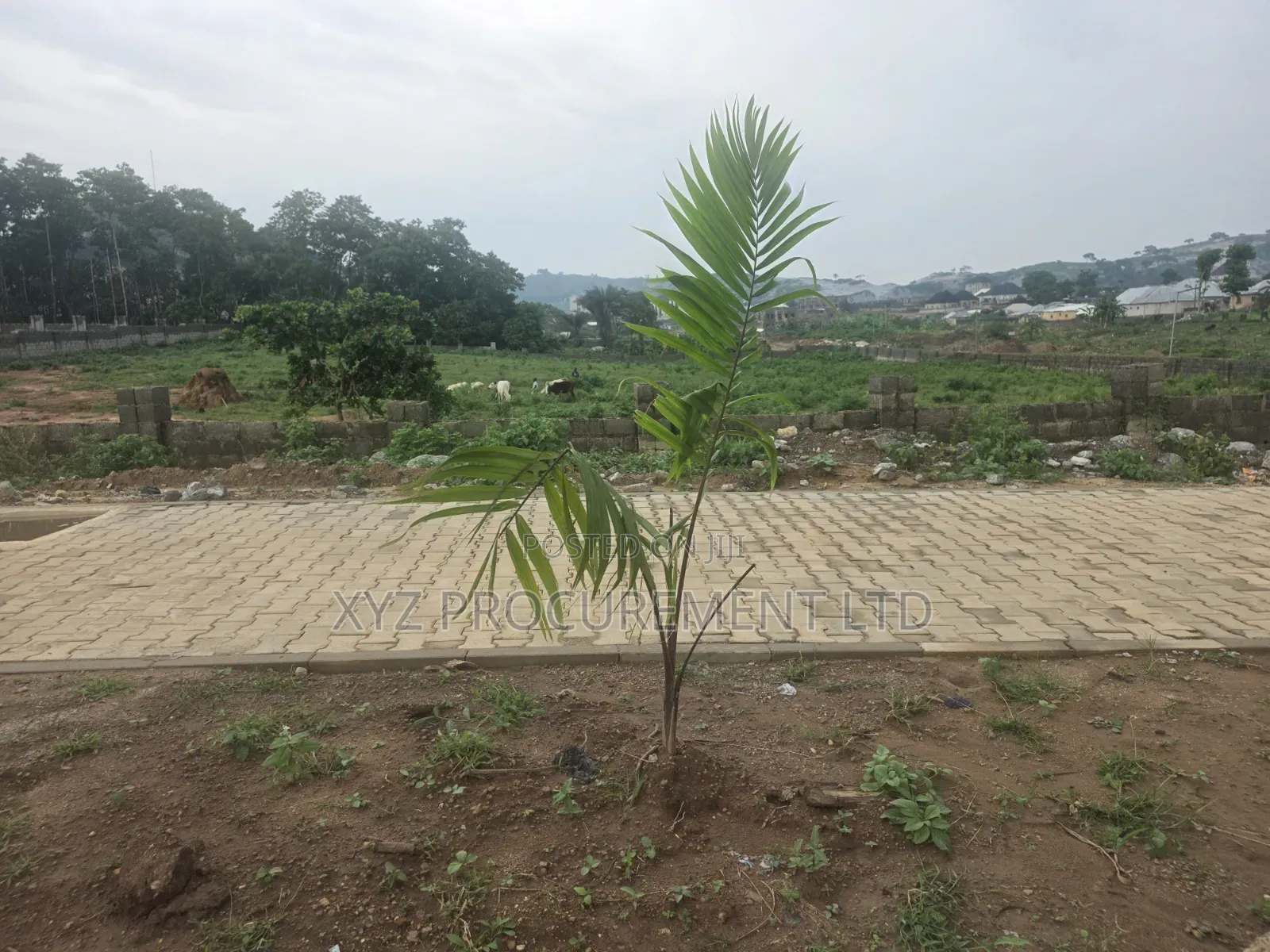5,000 SQM on Tarred Road, Katampe Main in Katampe (Main)