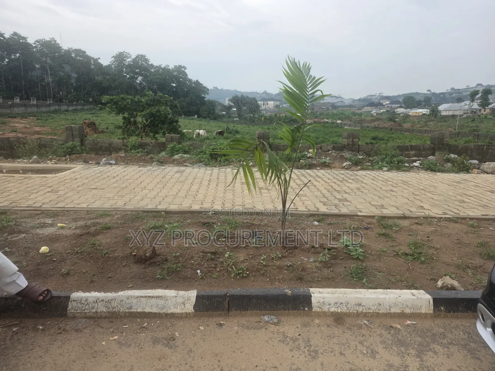 5,000 SQM on Tarred Road, Katampe Main in Katampe (Main)