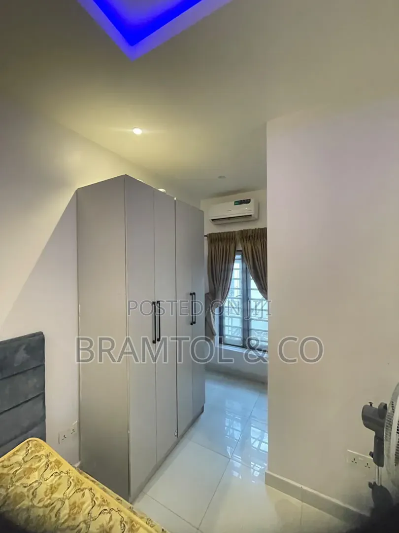 Furnished 1bdrm Block of Flats in Lagos Island / Lagos Island for rent in Lagos Island / Lagos Island
