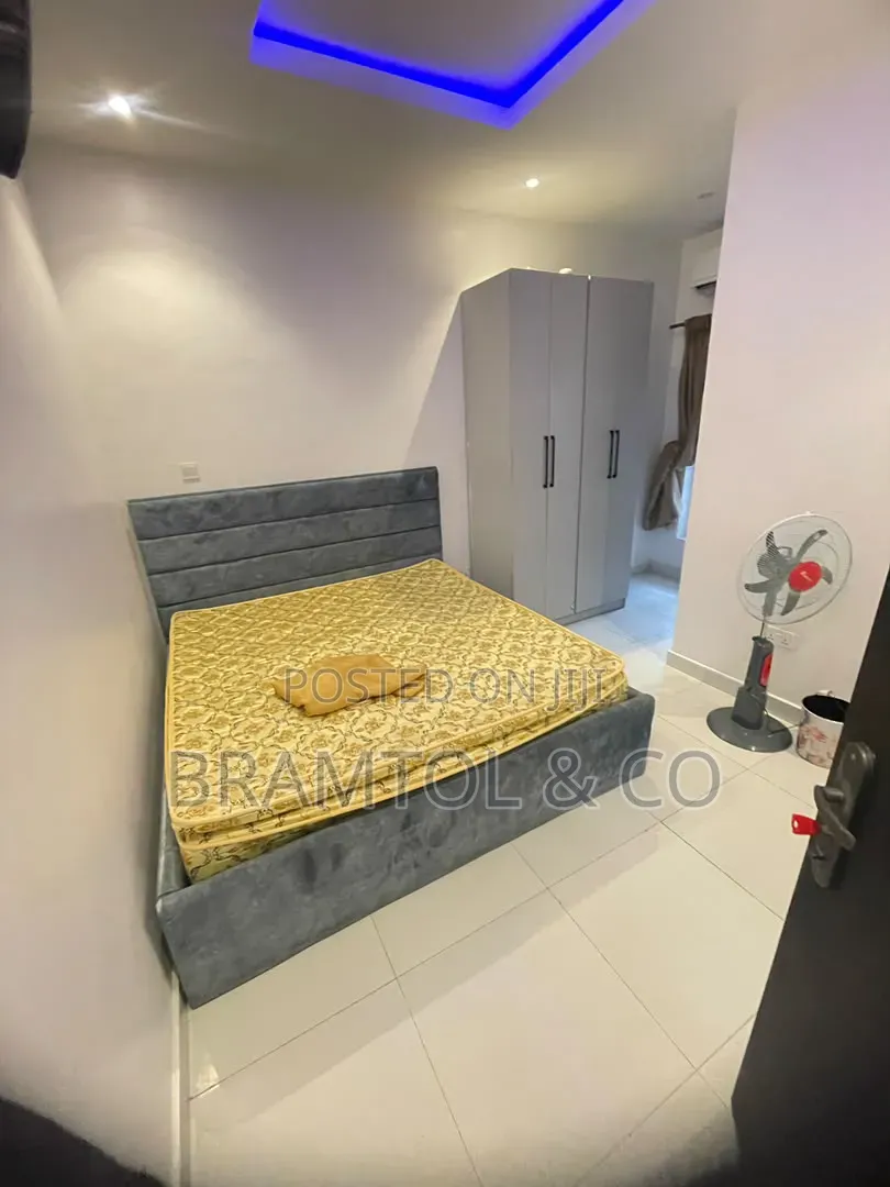 Furnished 1bdrm Block of Flats in Lagos Island / Lagos Island for rent in Lagos Island / Lagos Island
