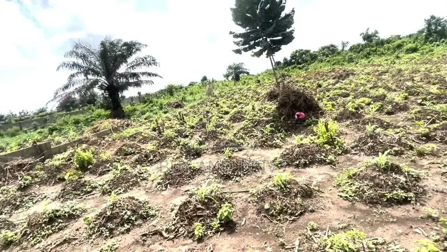 Distress Sale! 3 Plots for Sale - At Igbesa in Agbara-Igbesan