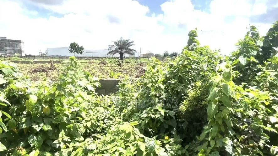 Distress Sale! 3 Plots for Sale - At Igbesa in Agbara-Igbesan
