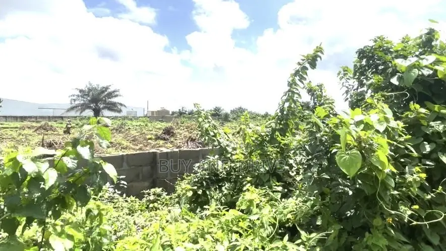 Distress Sale! 3 Plots for Sale - At Igbesa in Agbara-Igbesan
