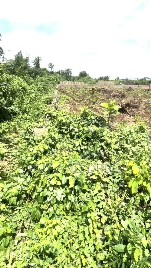 Distress Sale! 3 Plots for Sale - At Igbesa in Agbara-Igbesan