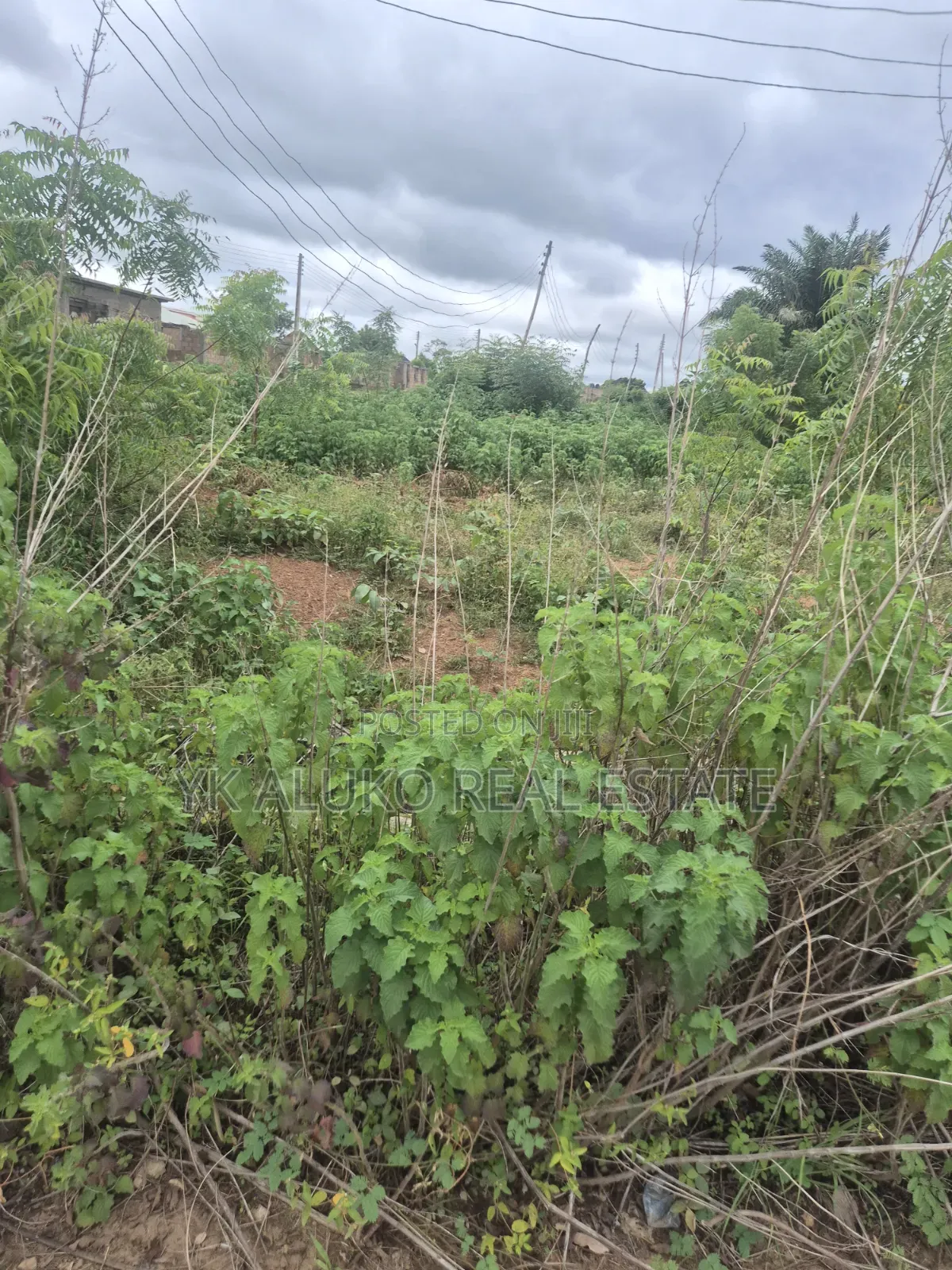 Global C of O Title Document in Ilorin West