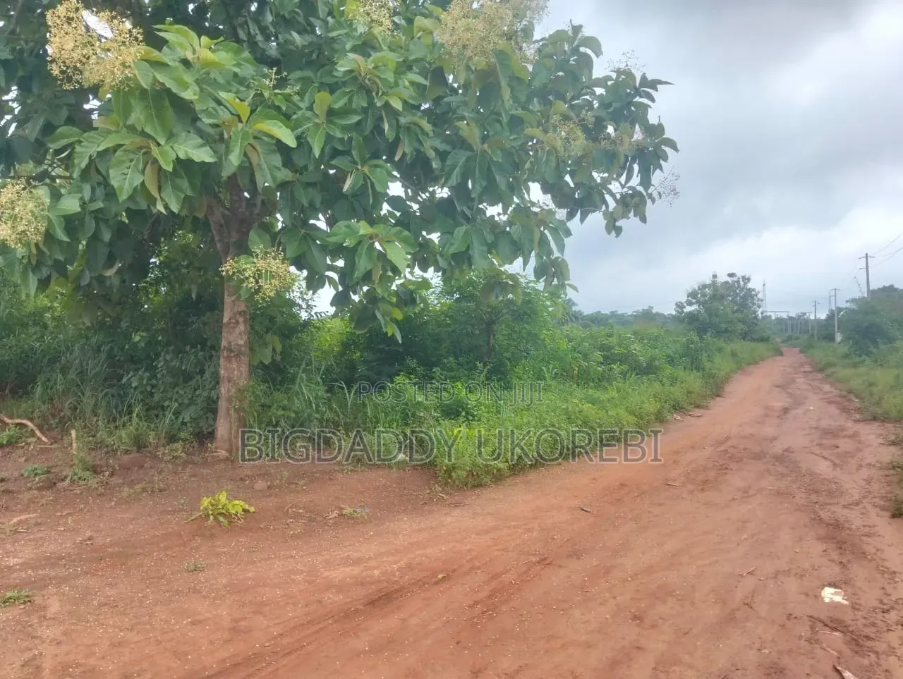 200 Acres of Land in Ewekoro