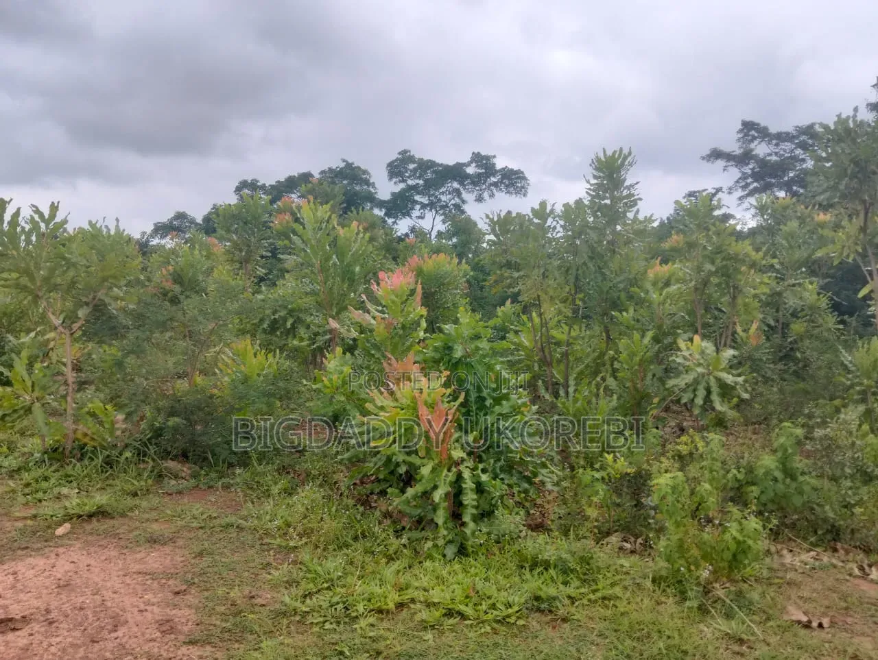 200 Acres of Land in Ewekoro