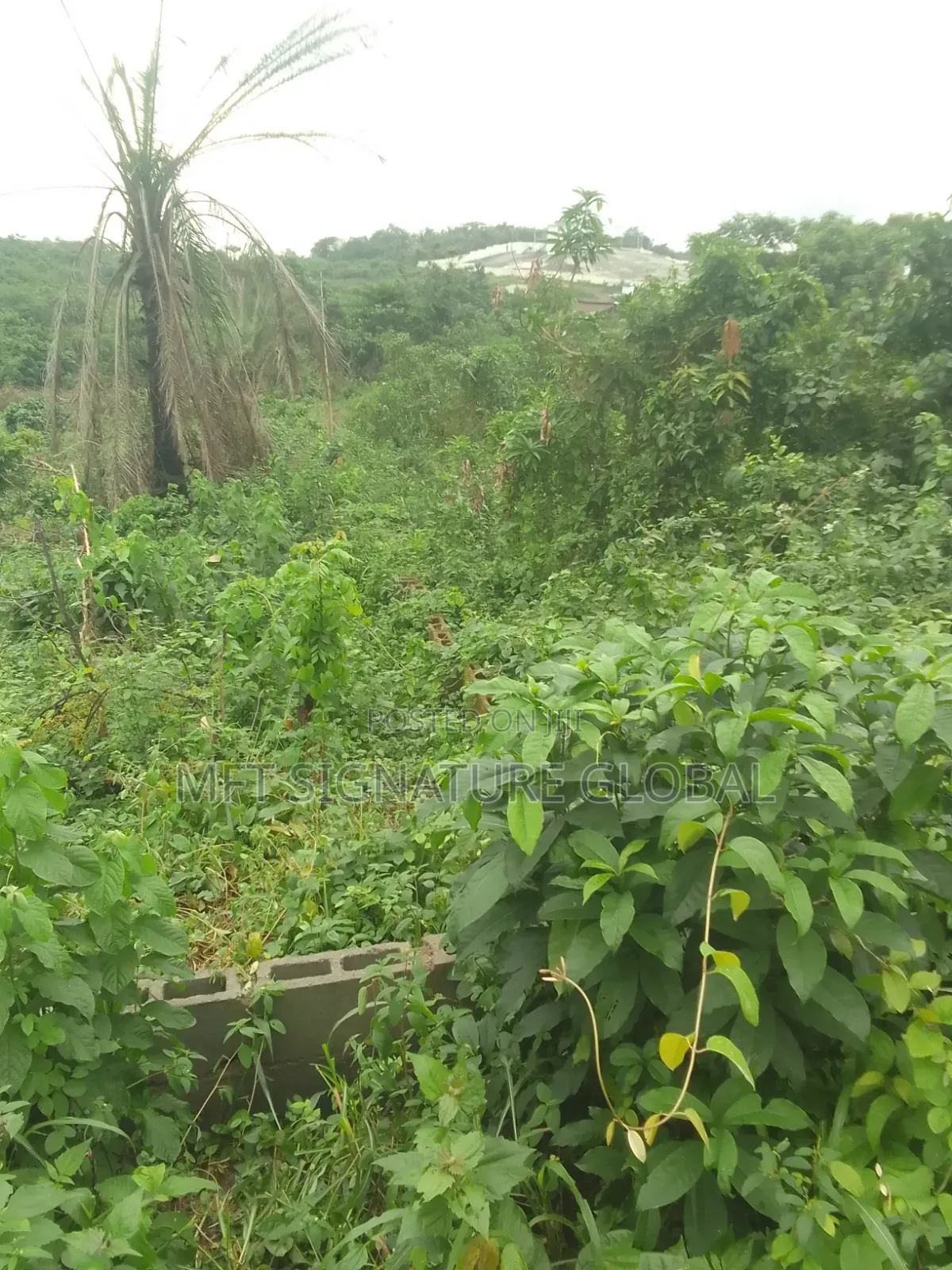 6 Plot of Land in Epe
