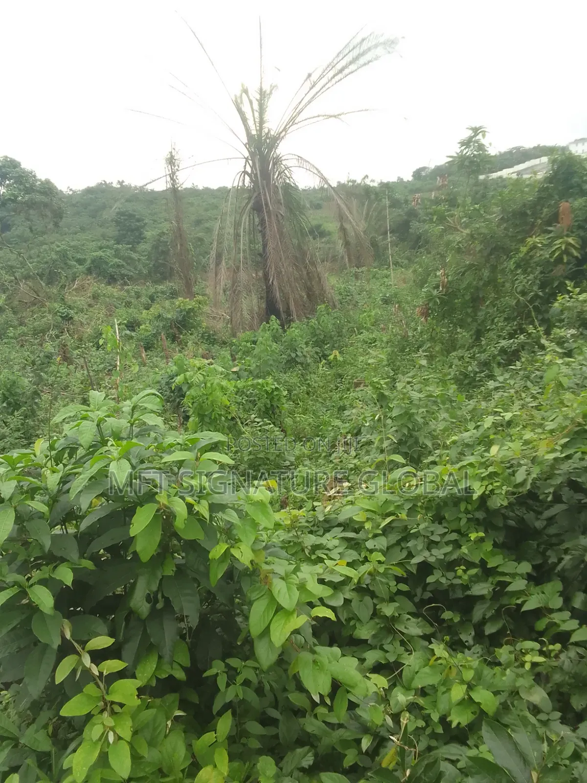 6 Plot of Land in Epe