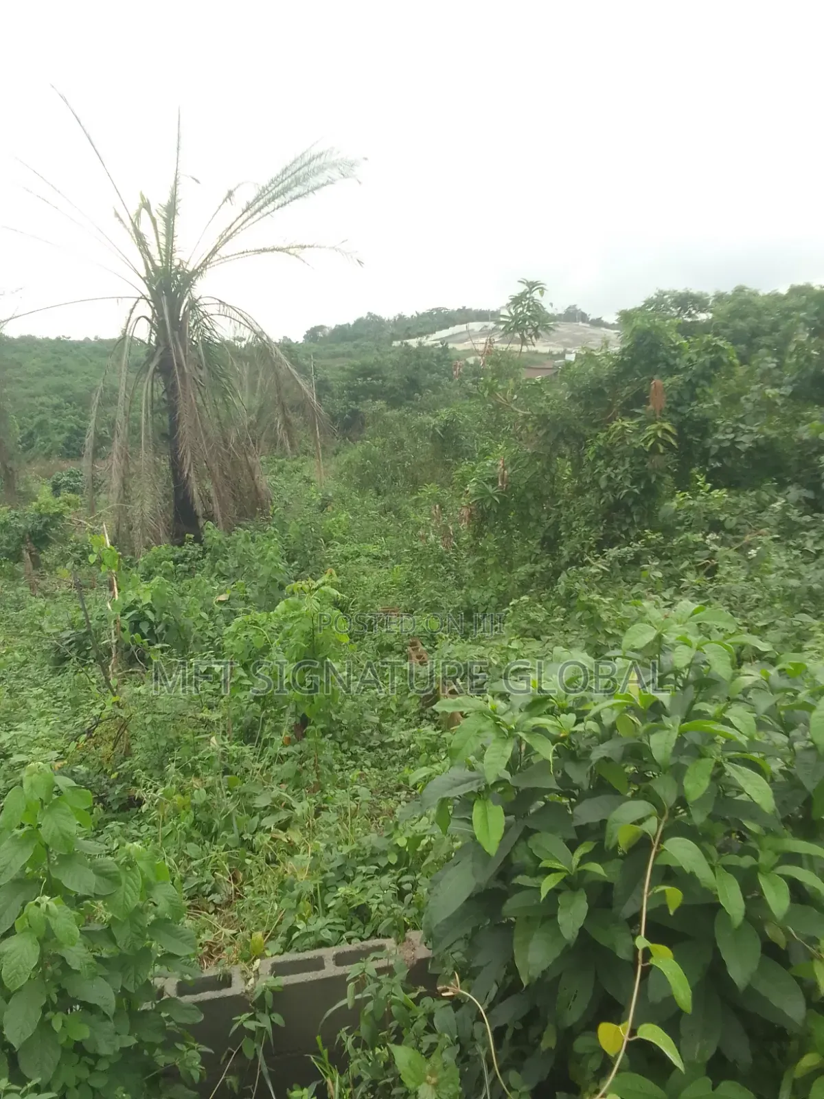 6 Plot of Land in Epe