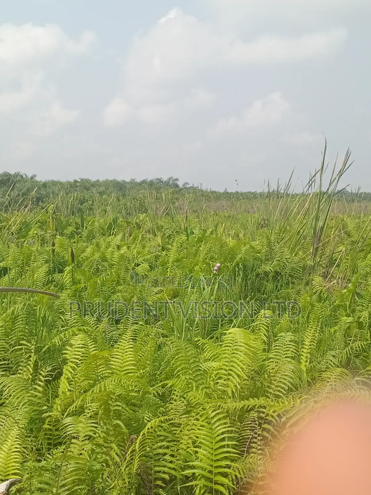 Commercial LagoonFront Property in Ibeju-Agbe