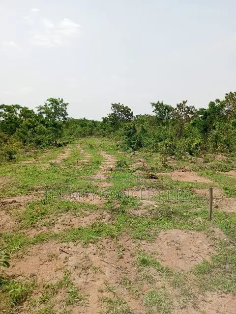 Tpumpy Premium Lands in Ekiti and Ilorin in Ado Ekiti