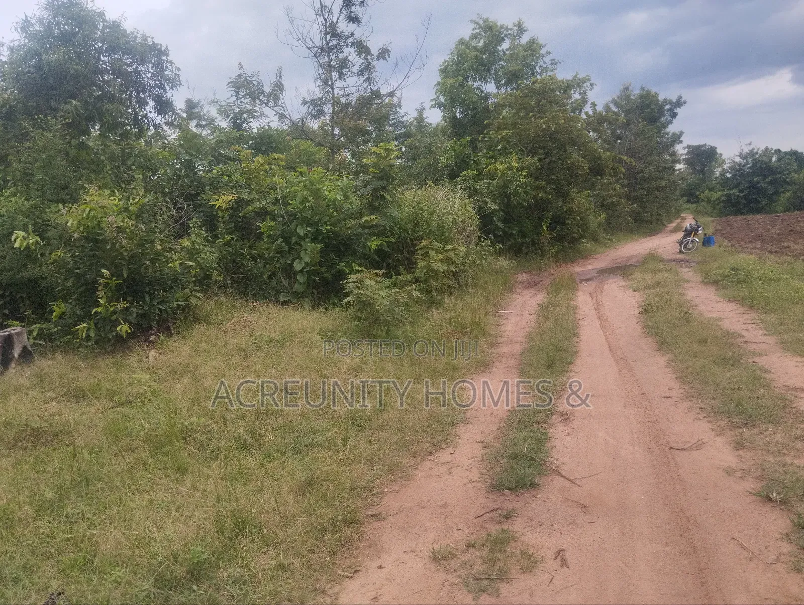 450 Acres of Fertile Farmland for Sale – Ogungbe, Iseyin, Oyo State in Iseyin