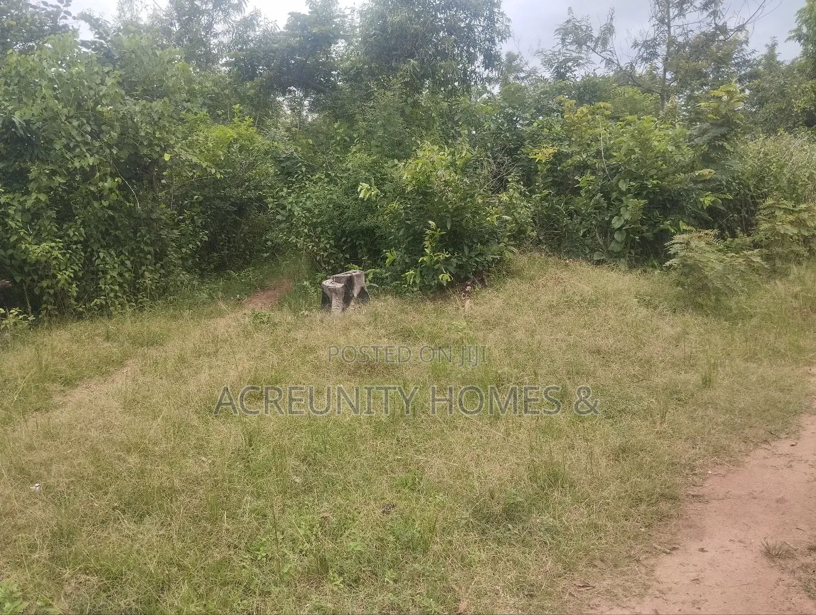 450 Acres of Fertile Farmland for Sale – Ogungbe, Iseyin, Oyo State in Iseyin