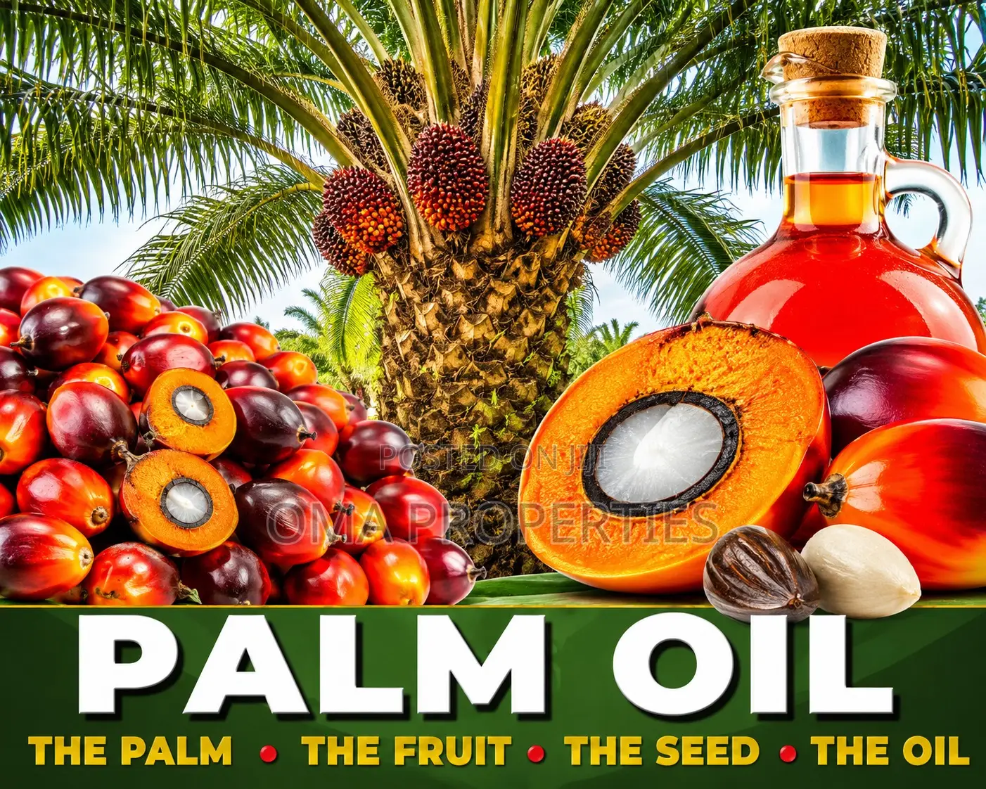 Palm Oil Investment Made Easy in Abeokuta South