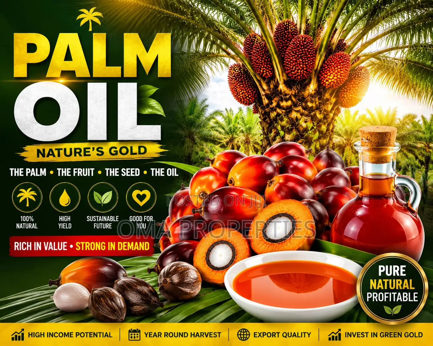 Palm Oil Investment Made Easy in Abeokuta South