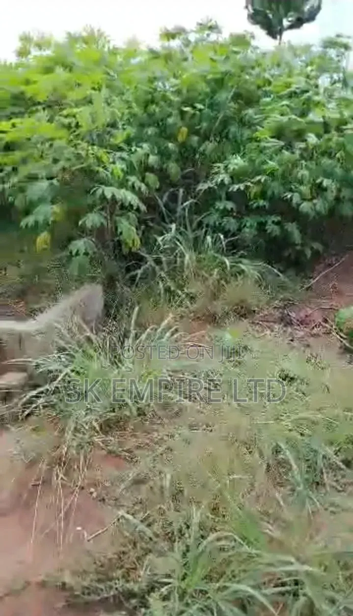 Hot Investment,Corner Piece 1plot of Land Behind Jamal Hotel,Eziobodo in Owerri