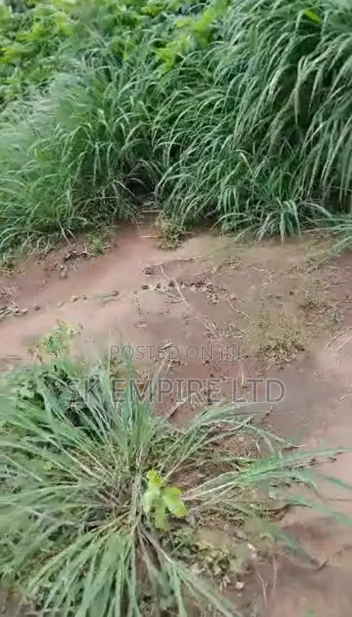 Hot Investment,Corner Piece 1plot of Land Behind Jamal Hotel,Eziobodo in Owerri