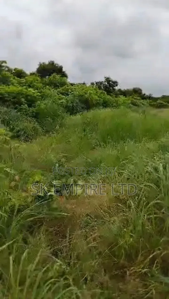 Hot Investment,Corner Piece 1plot of Land Behind Jamal Hotel,Eziobodo in Owerri