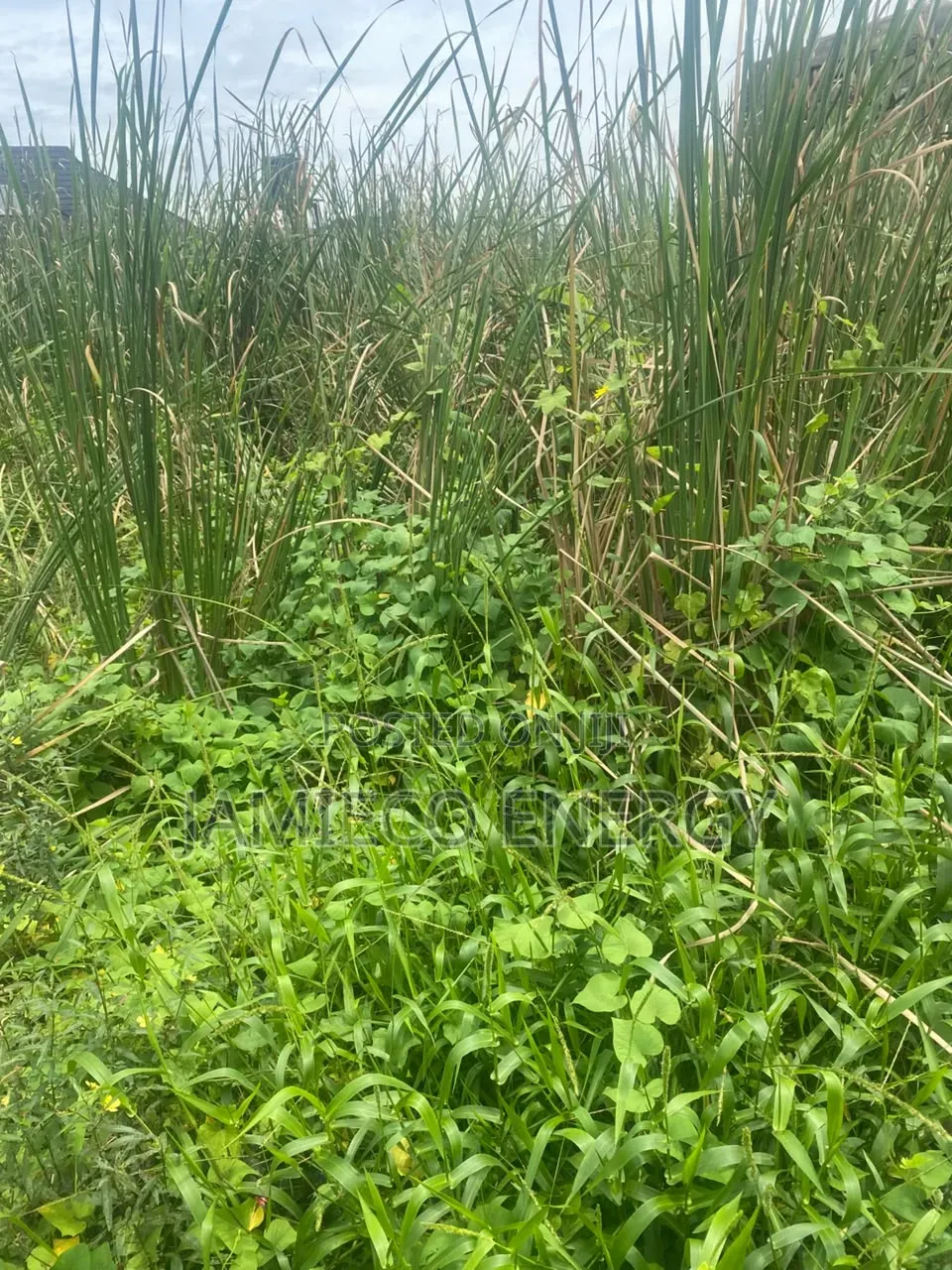 700sqm at Ogidan Sangotedo Outright in Sangotedo