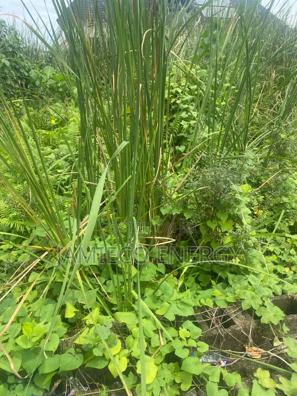 700sqm at Ogidan Sangotedo Outright in Sangotedo