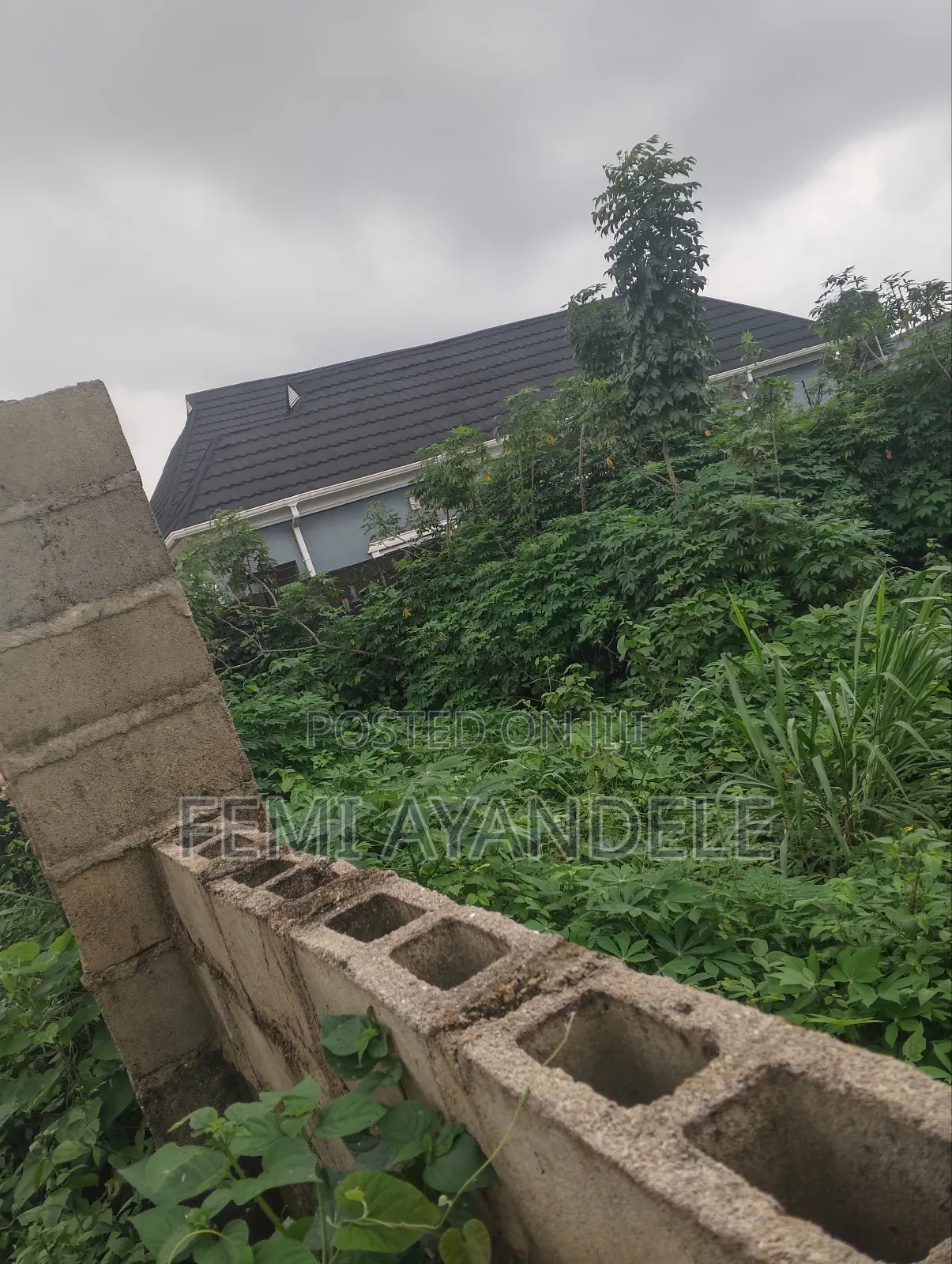 Complete Full Plot in Igbogbo