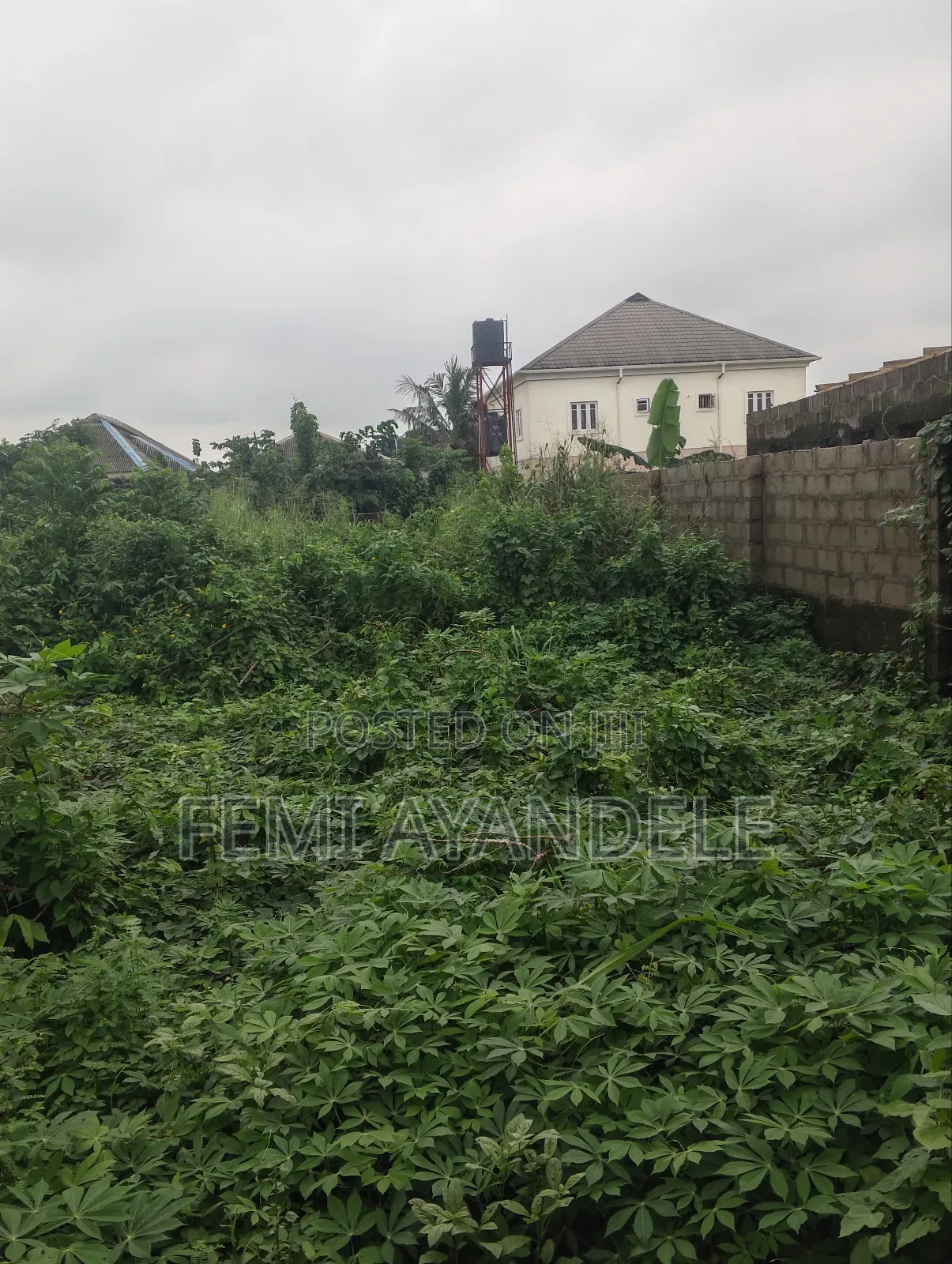 Complete Full Plot in Igbogbo