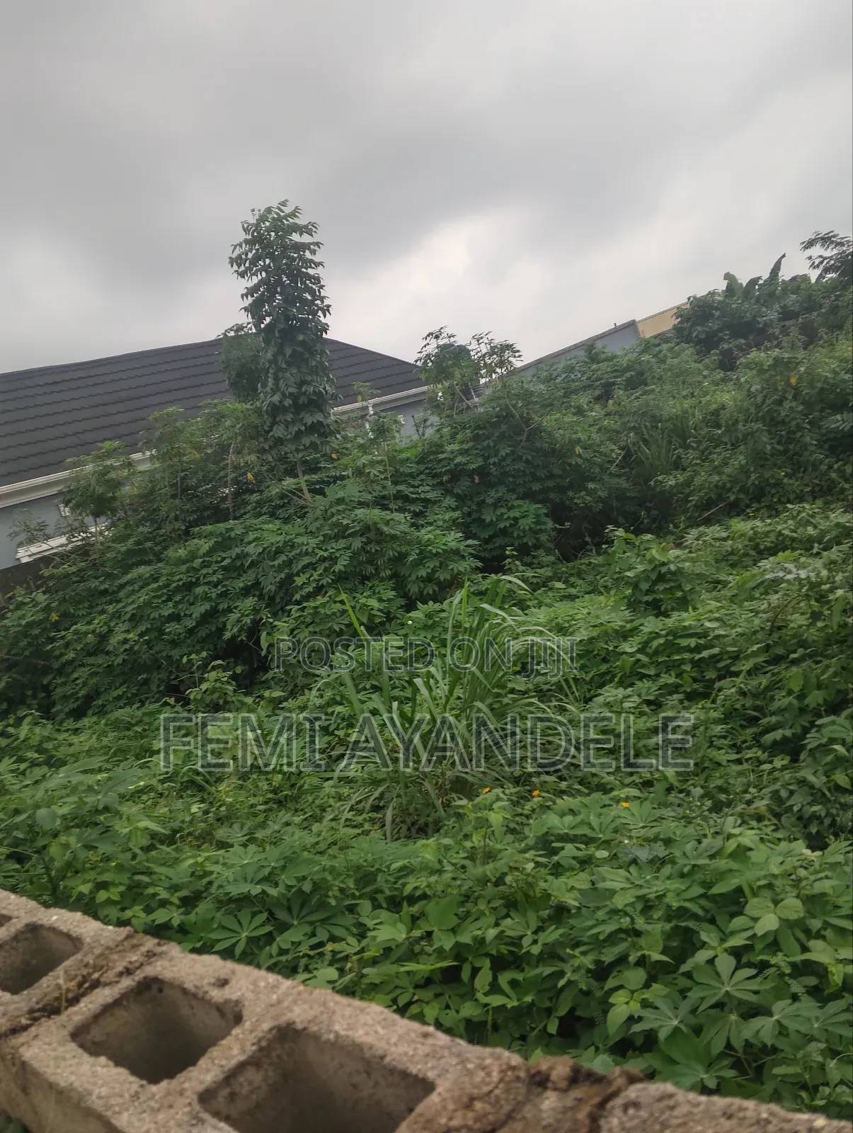 Complete Full Plot in Igbogbo