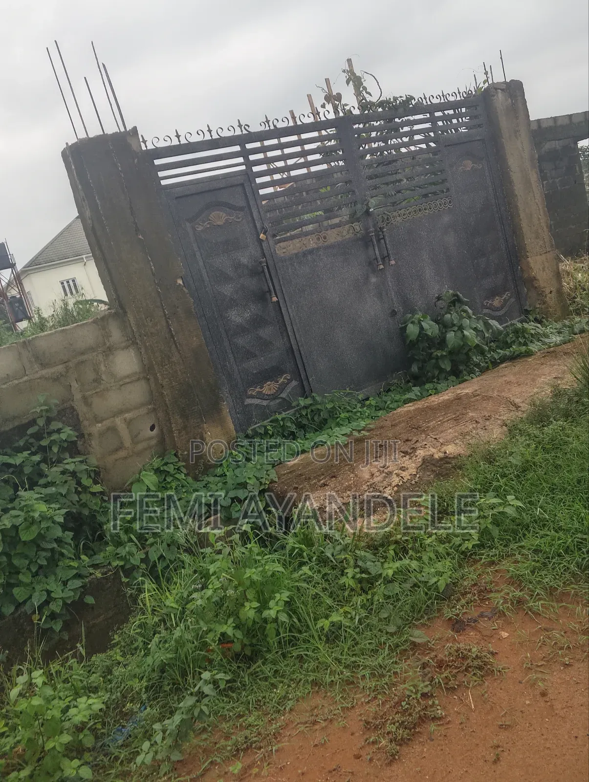 Complete Full Plot in Igbogbo