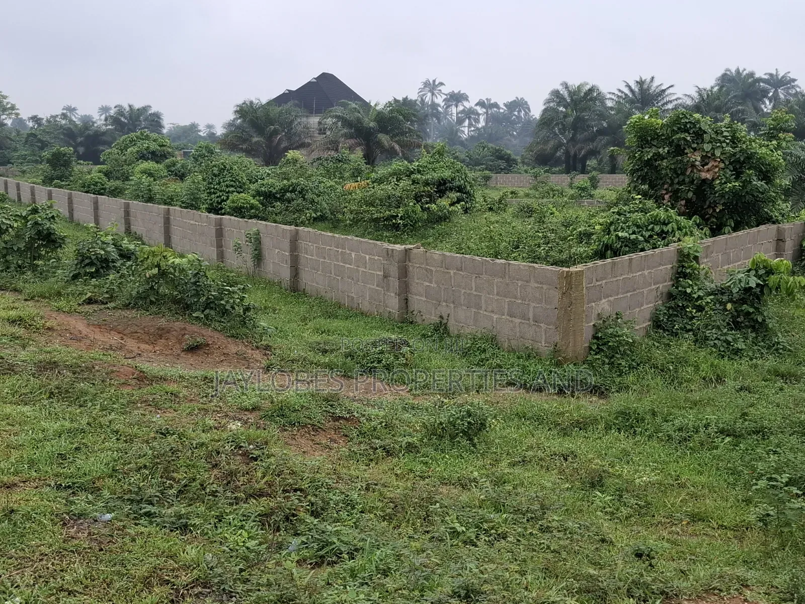 For Sale: 7 Plots at Rupokwu/Igwuruta Axis, Port Harcourt in Obio-Akpor