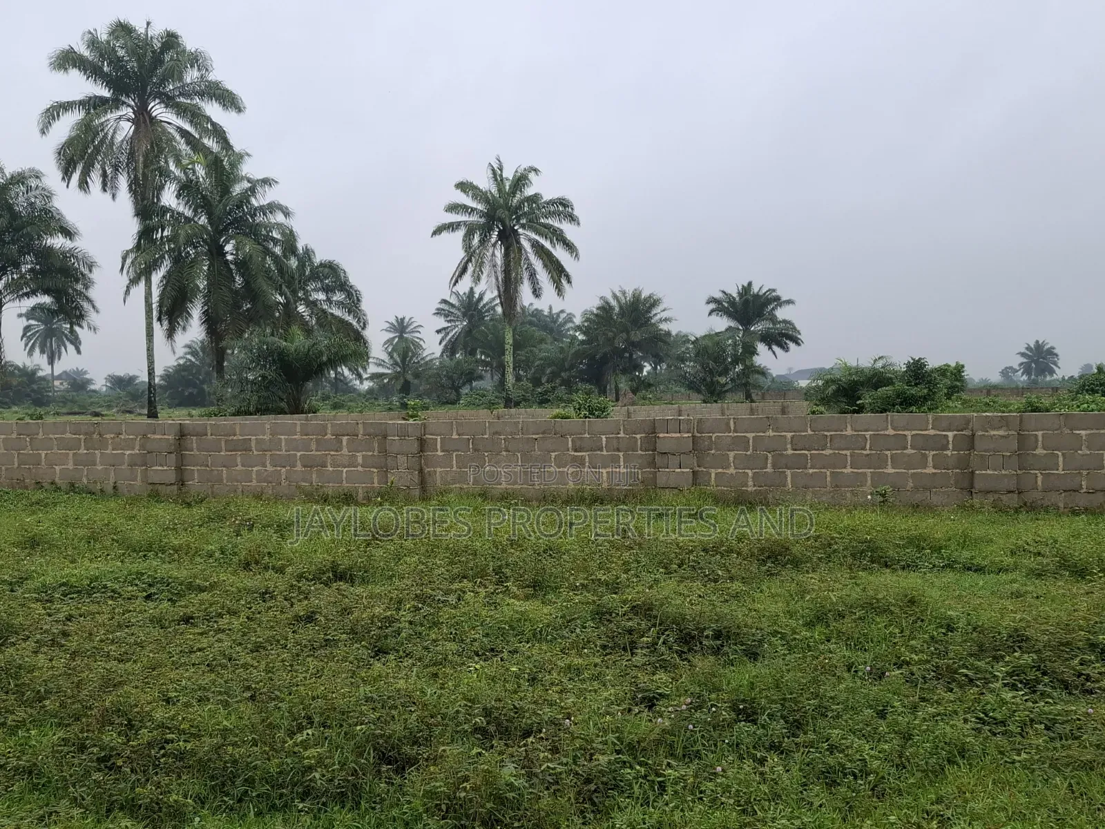 For Sale: 7 Plots at Rupokwu/Igwuruta Axis, Port Harcourt in Obio-Akpor