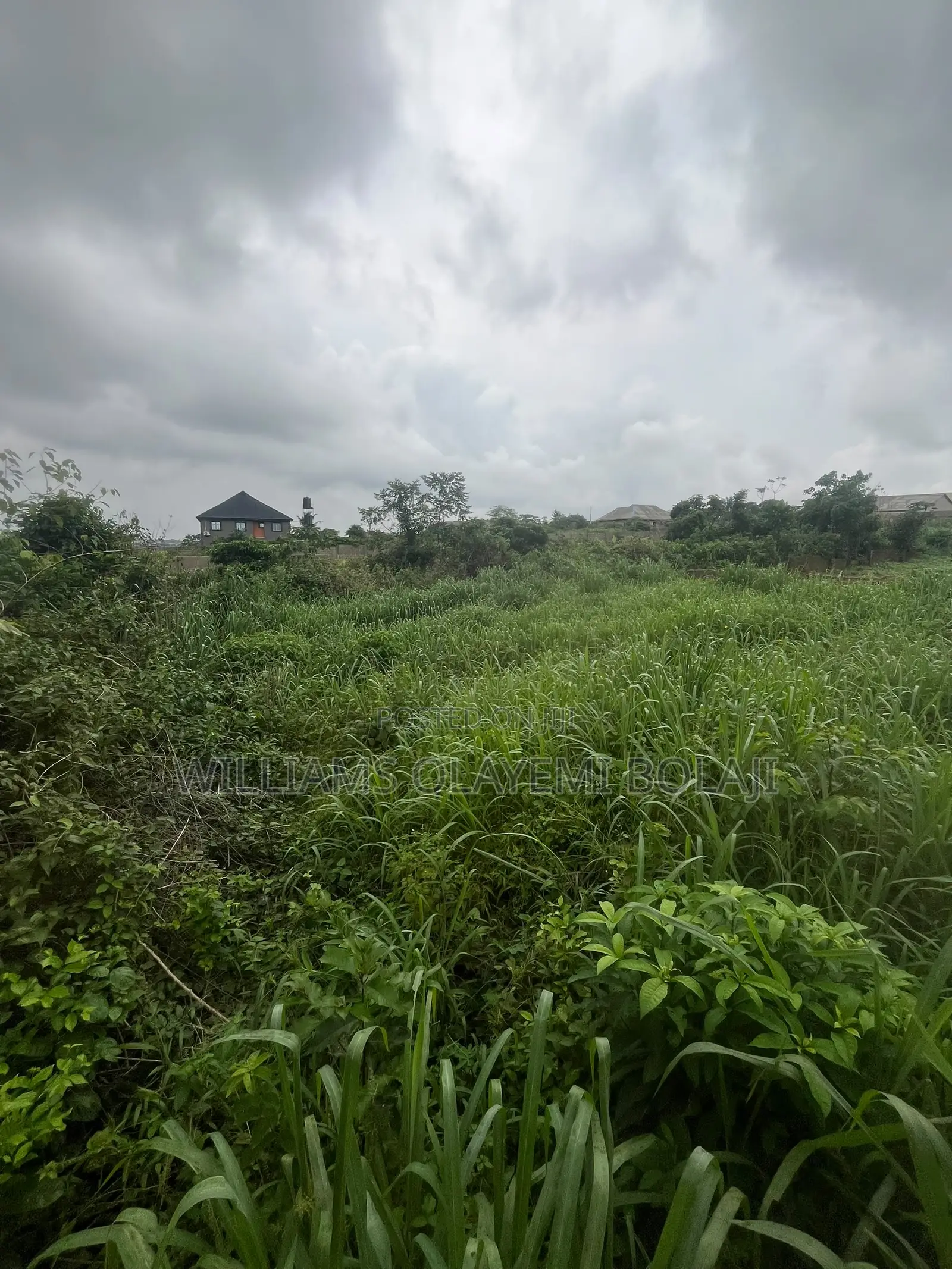 Two Full Plot of Land in Ado-Odo/Ota