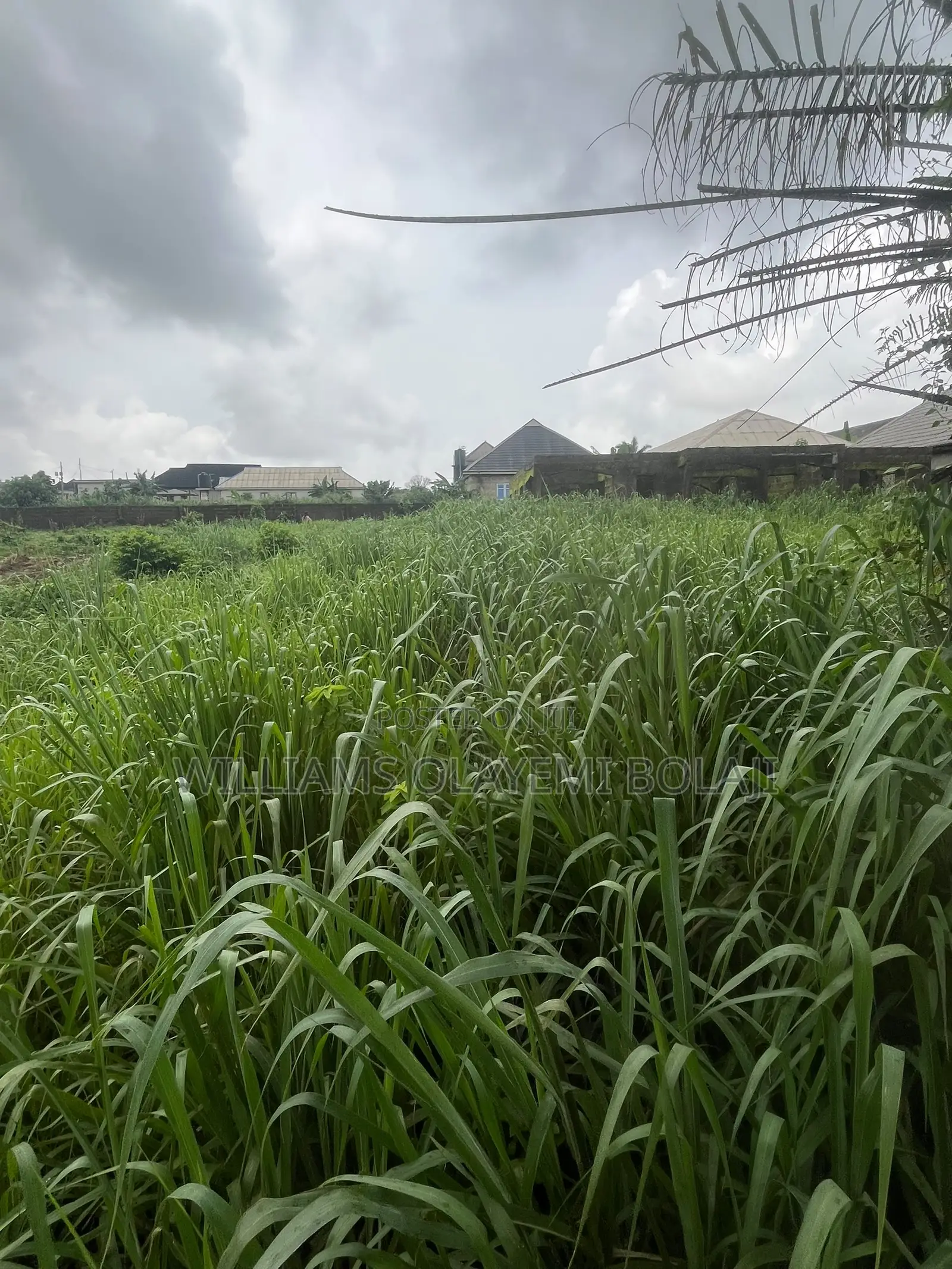 Two Full Plot of Land in Ado-Odo/Ota