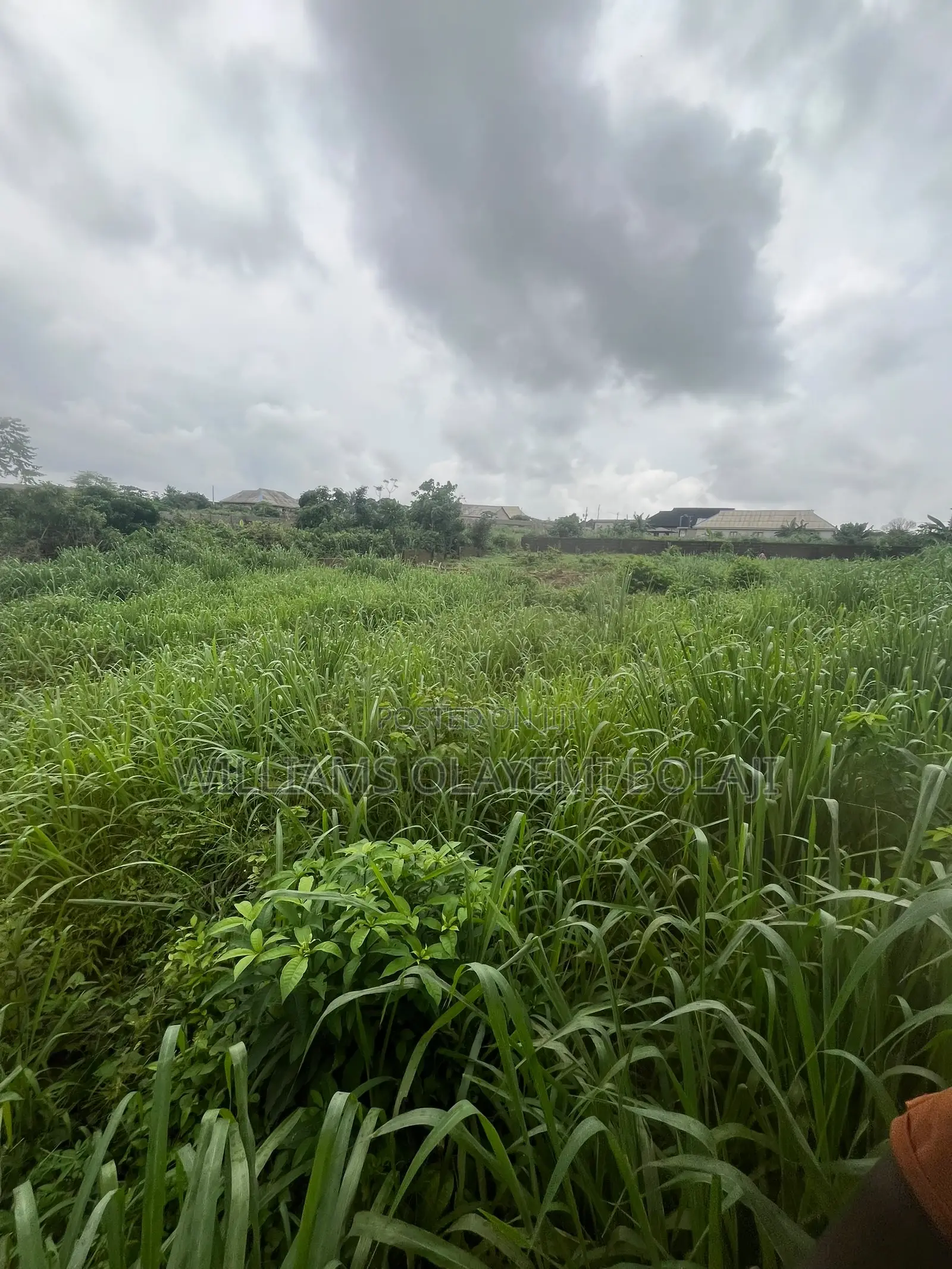 Two Full Plot of Land in Ado-Odo/Ota