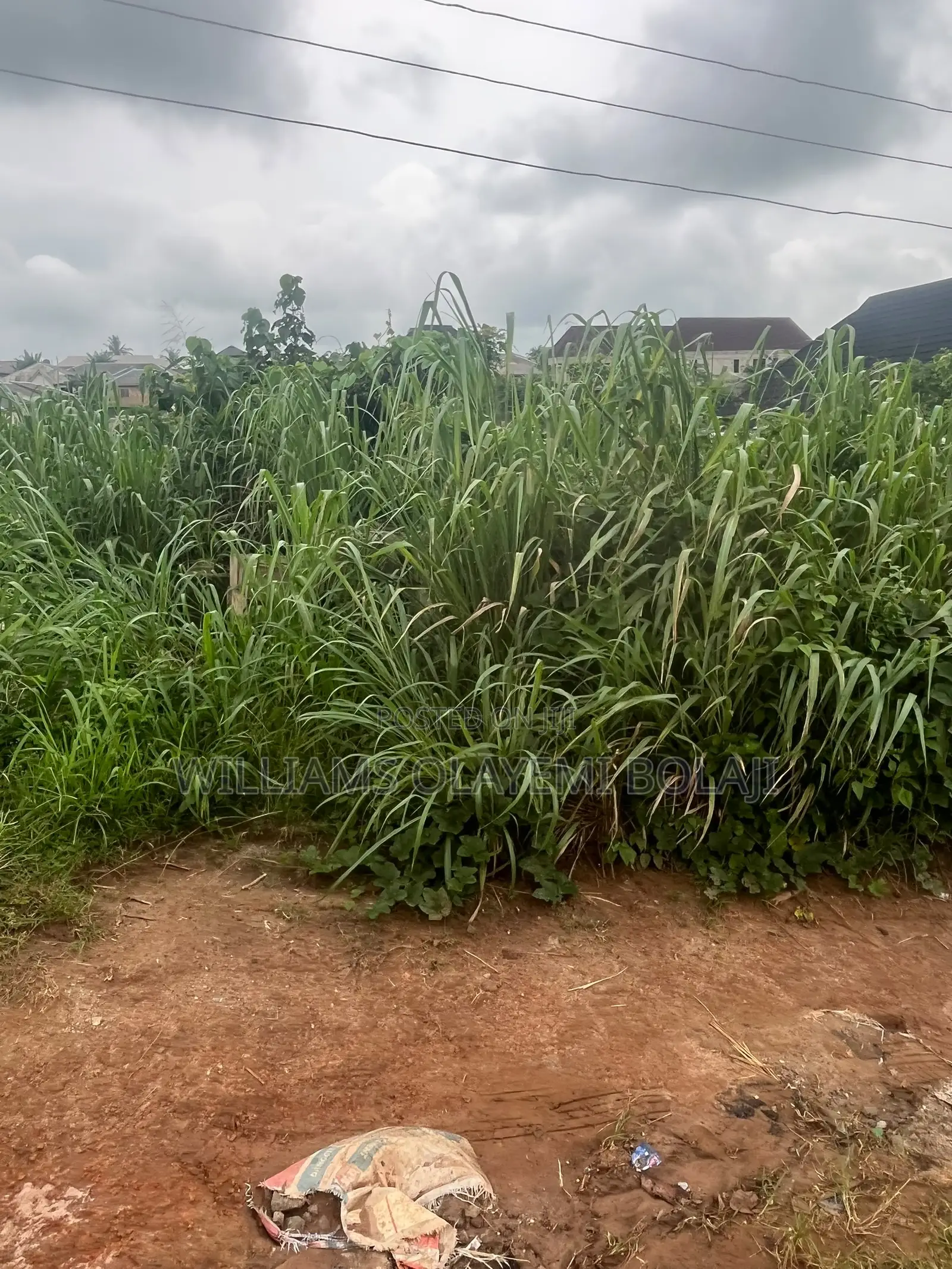 Two Full Plot of Land in Ado-Odo/Ota